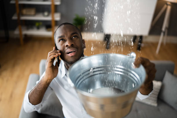 Best Ceiling water damage repair  in Canton, GA