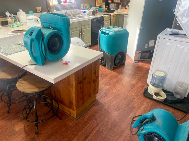 Best Water damage restoration near me  in Canton, GA